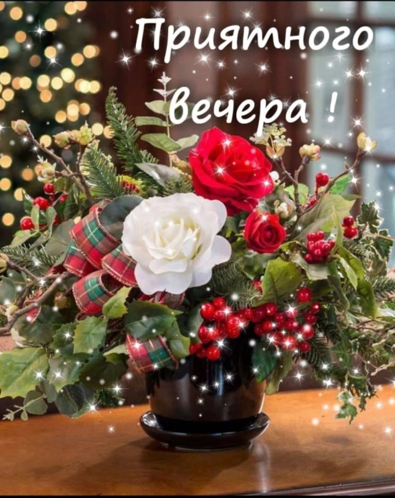 Доброго вечера и спокойной ночи