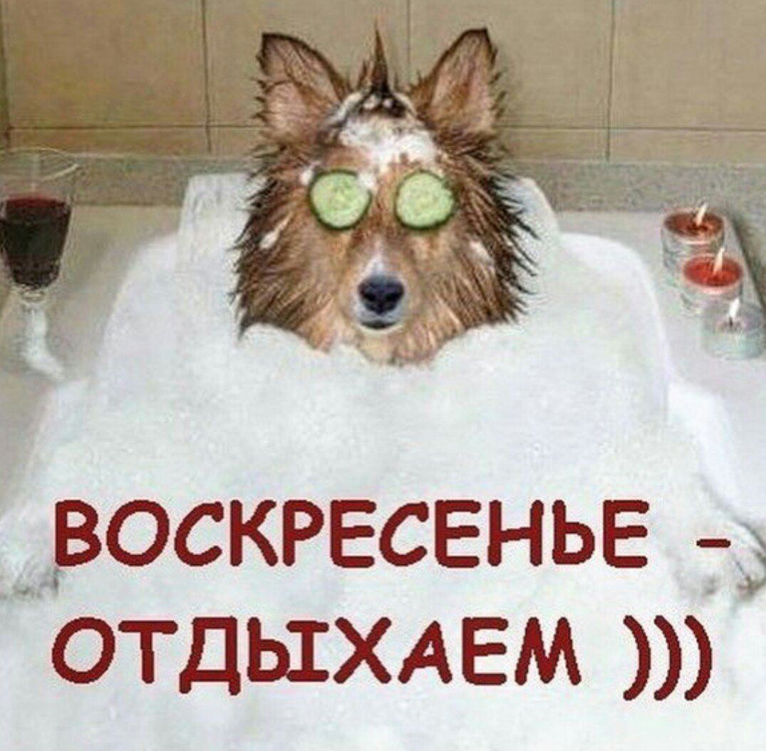 Доброеиутро понедельника