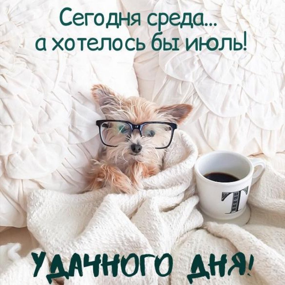 Вечерние поздравления с добрым вечером