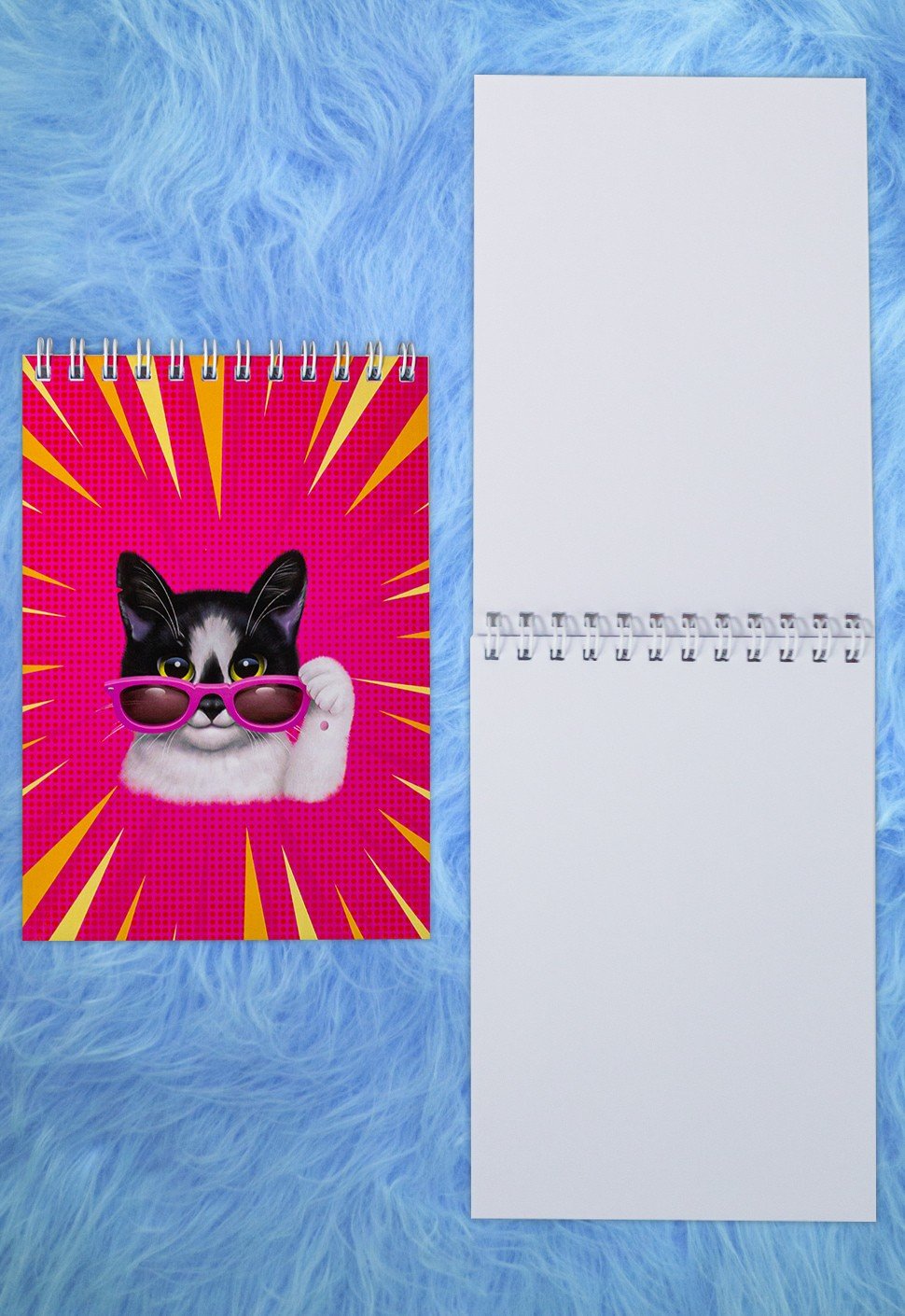 А ну ка давайка кошка Мурка и кролик Баффи