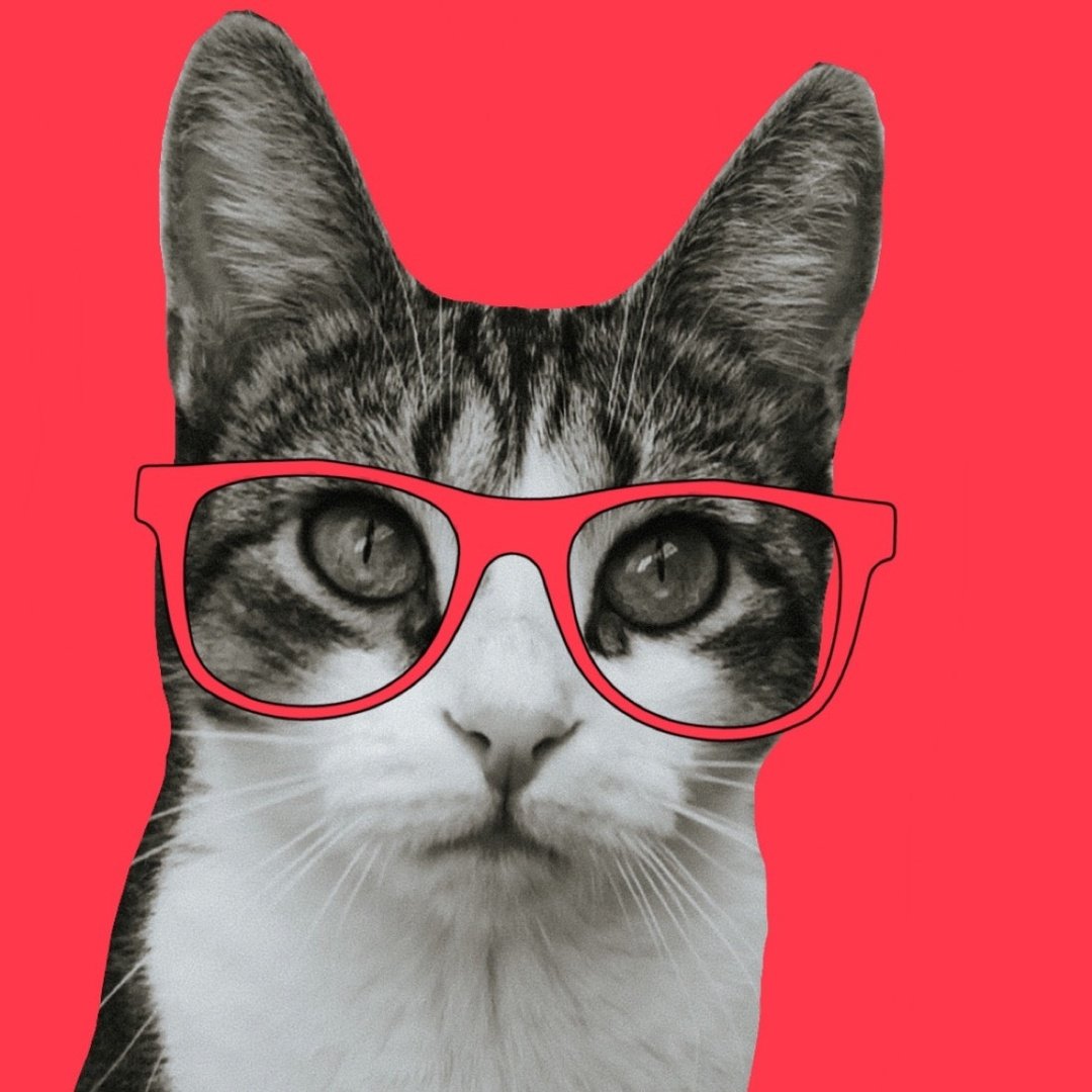 Анука давайка ютуб ЭПИК