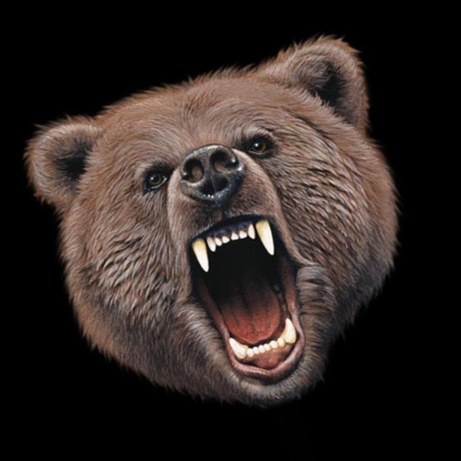 Свирепый медведь аватар