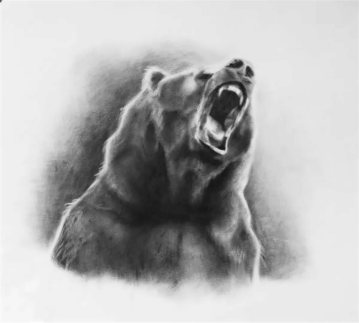 Медведь Гризли нападение