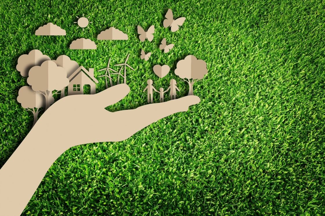 Экологически чистое дерево