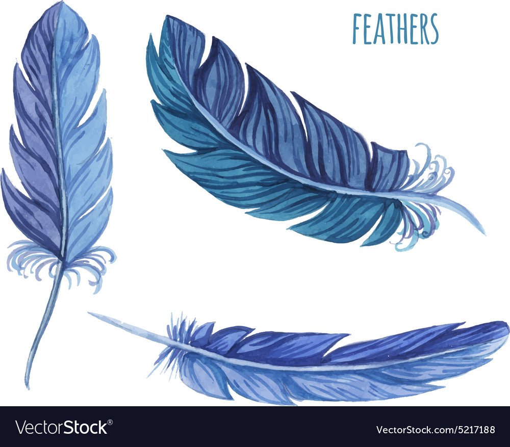 Перо сине черное эскиз на листе