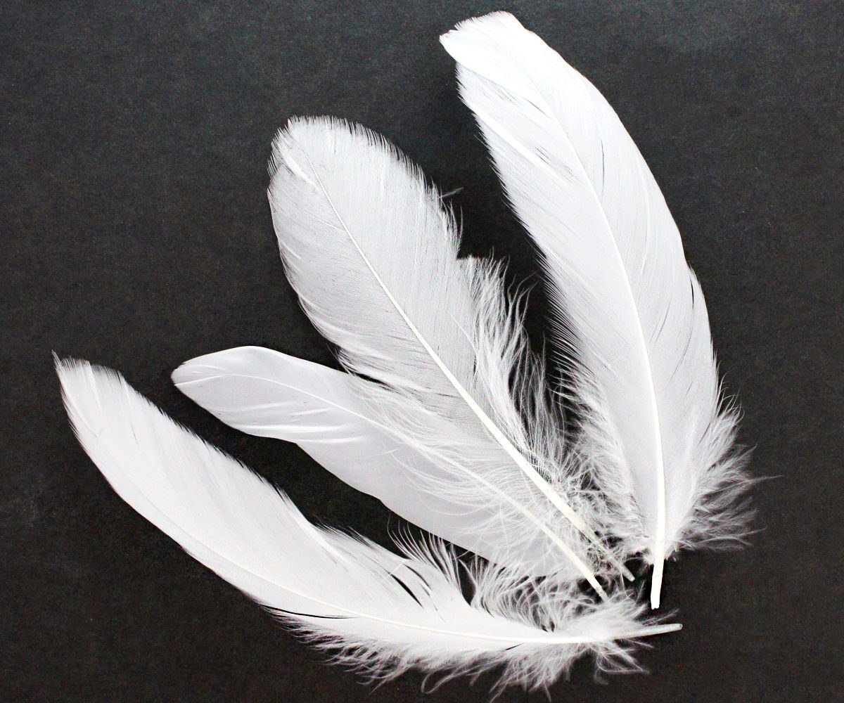 Перо раскраска