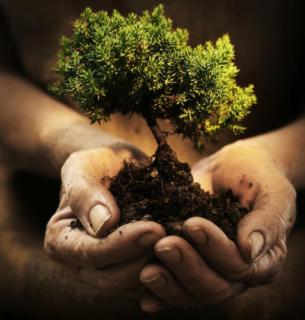 Человек и природа