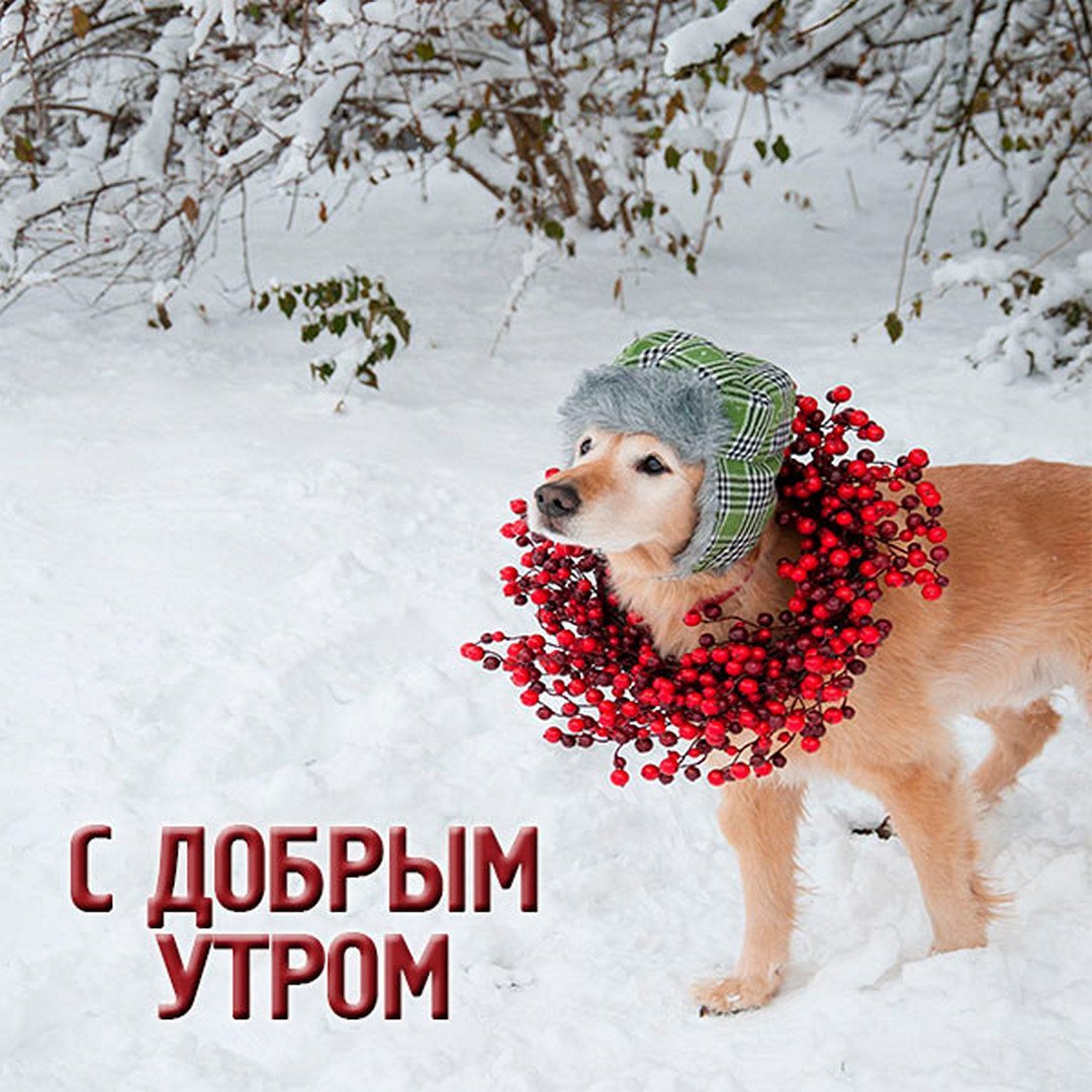 Чашка кофе зима