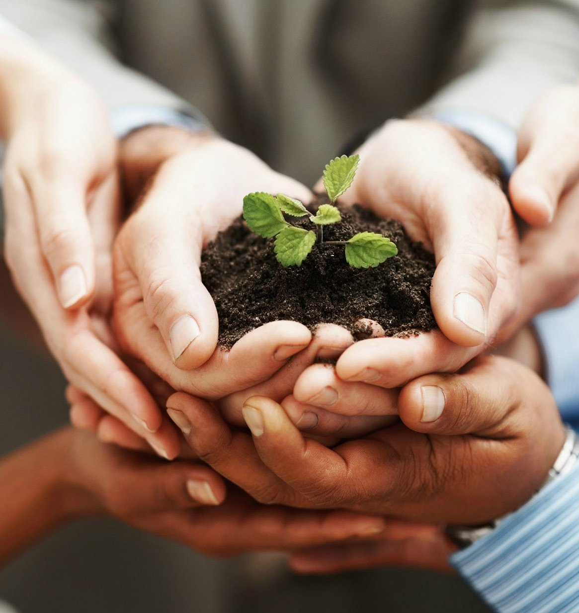 Экология природа и человек