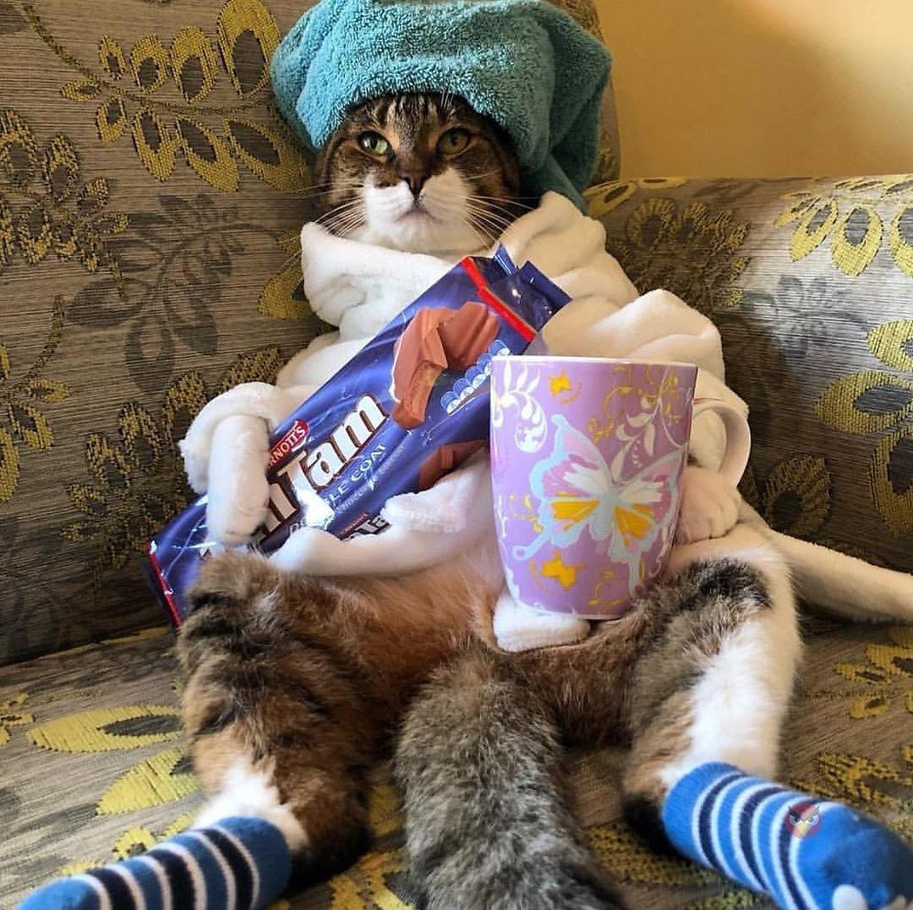 Приколы про выходные