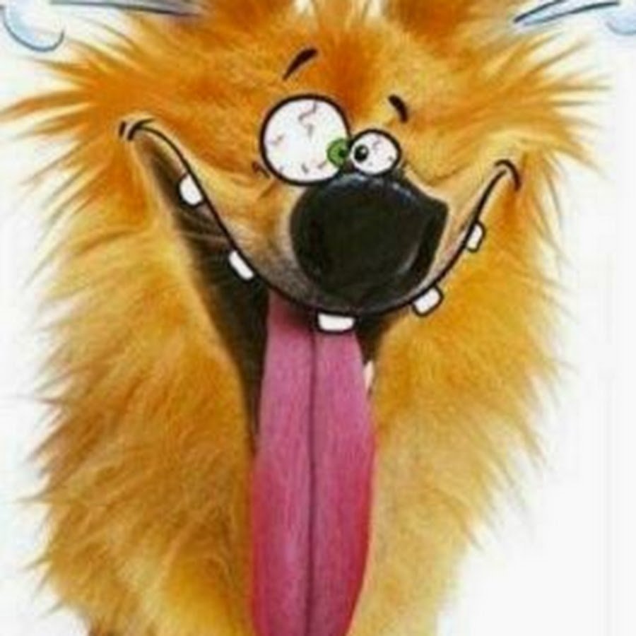 Долгожданные выходные картинки прикольные