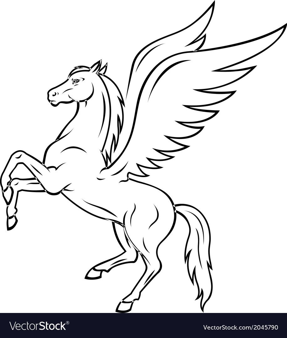 Пегас контур