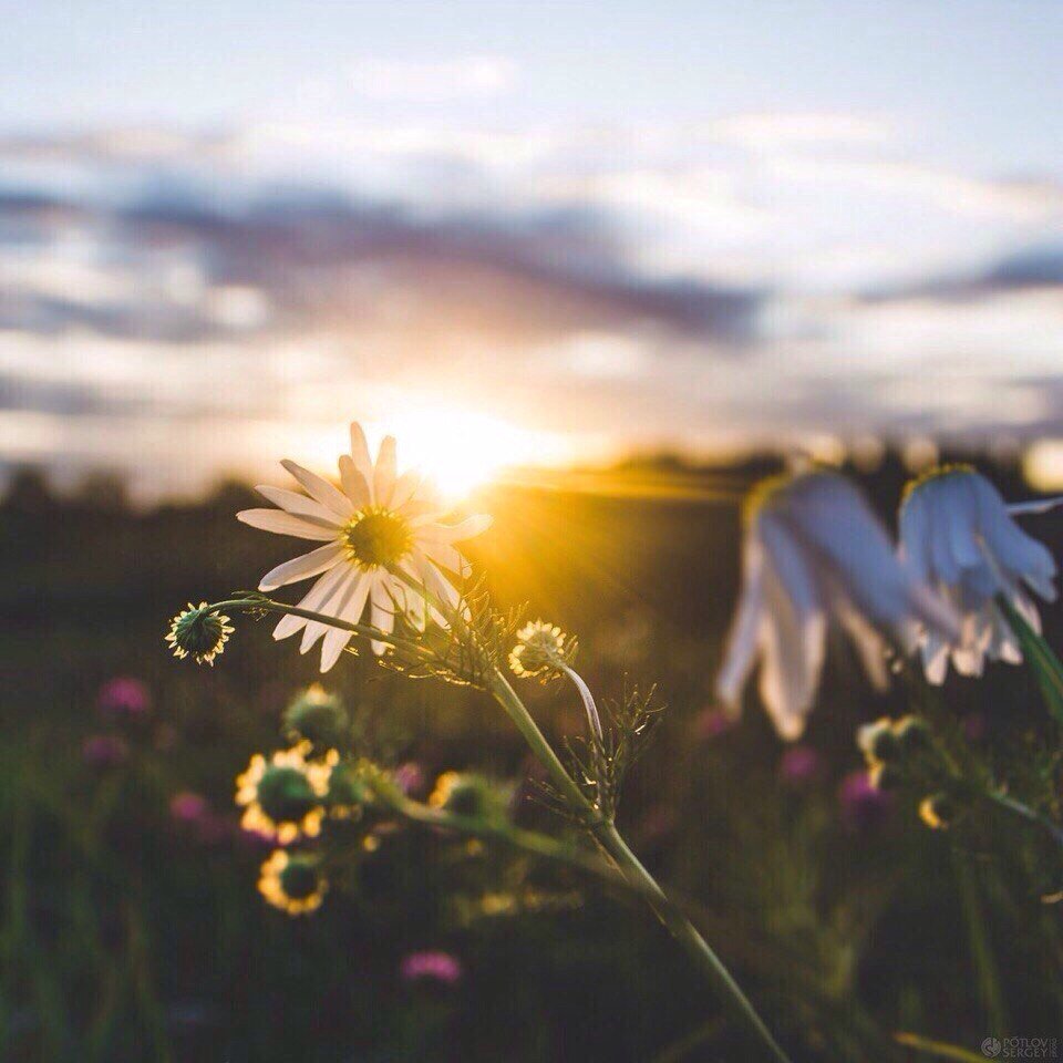 Рассвет в горах