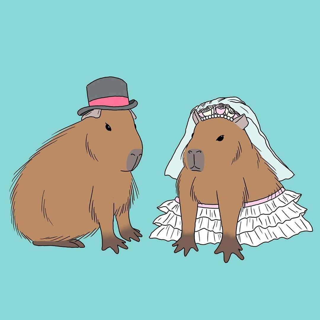 Капибара милые рисунки