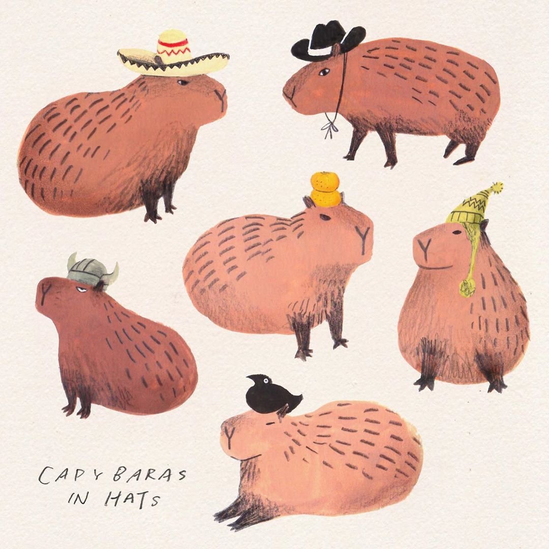 Капибара и котенок рисунок