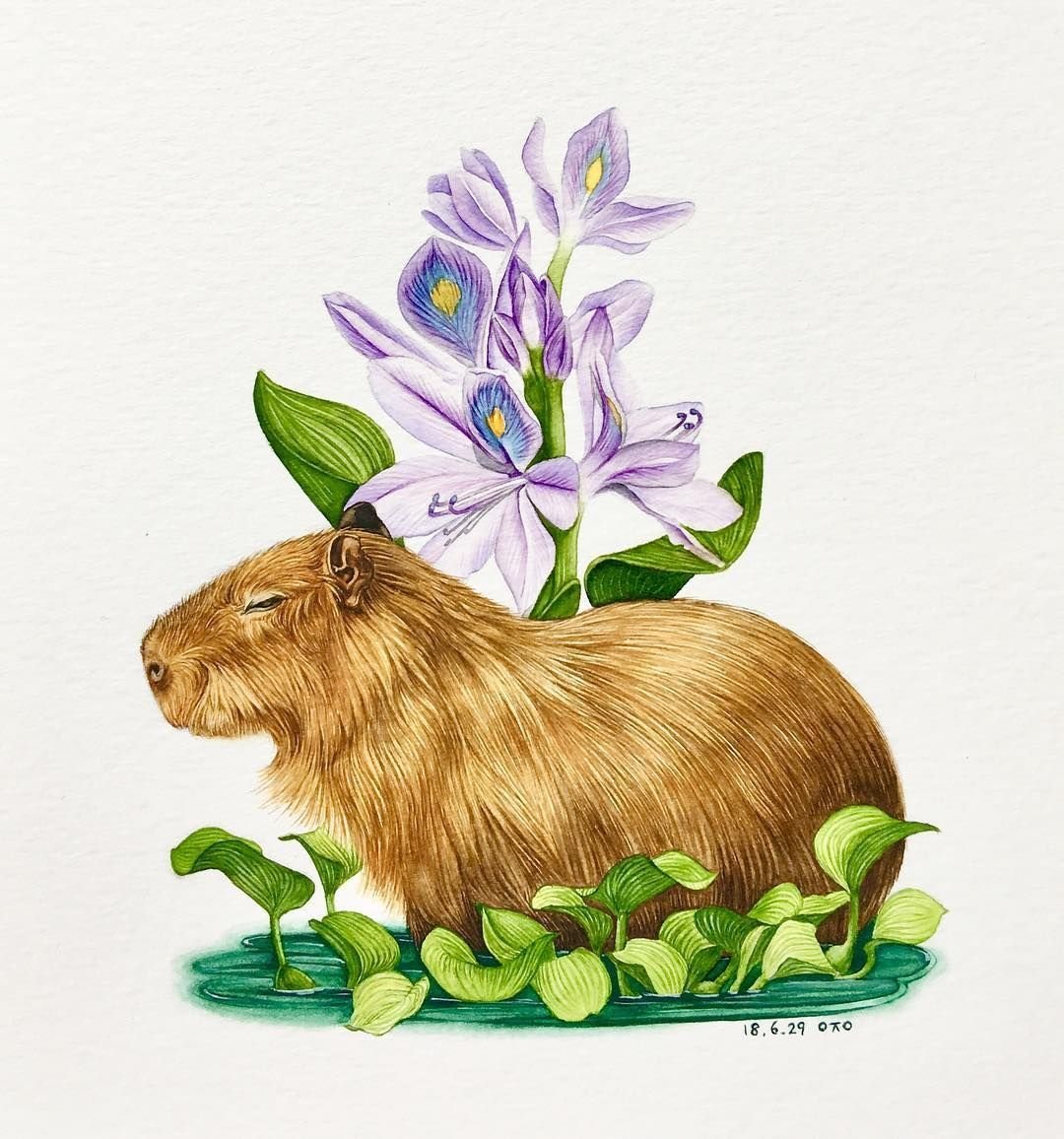 Капибара Хэллоуин