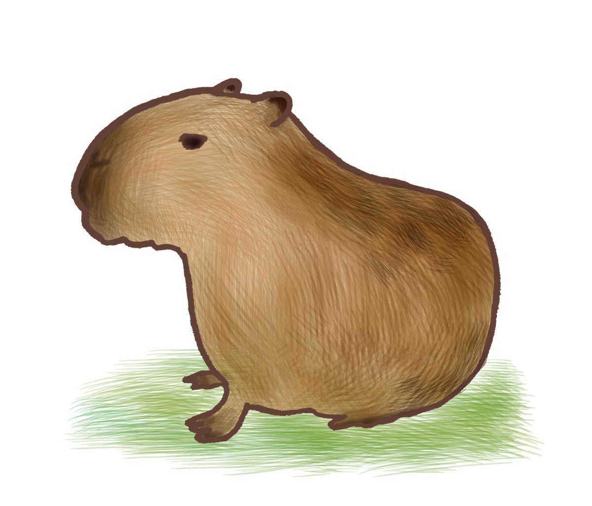 Капибара мультяшный