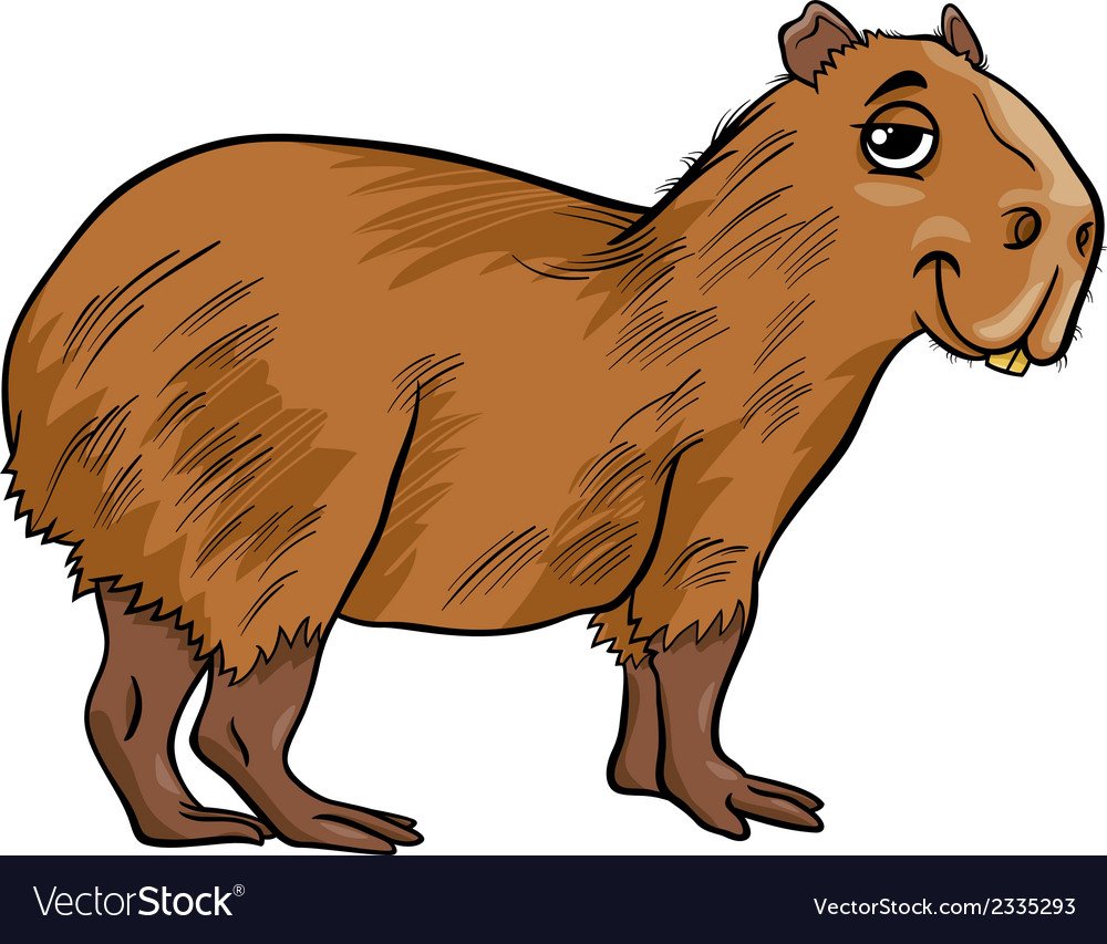 Капибара картина