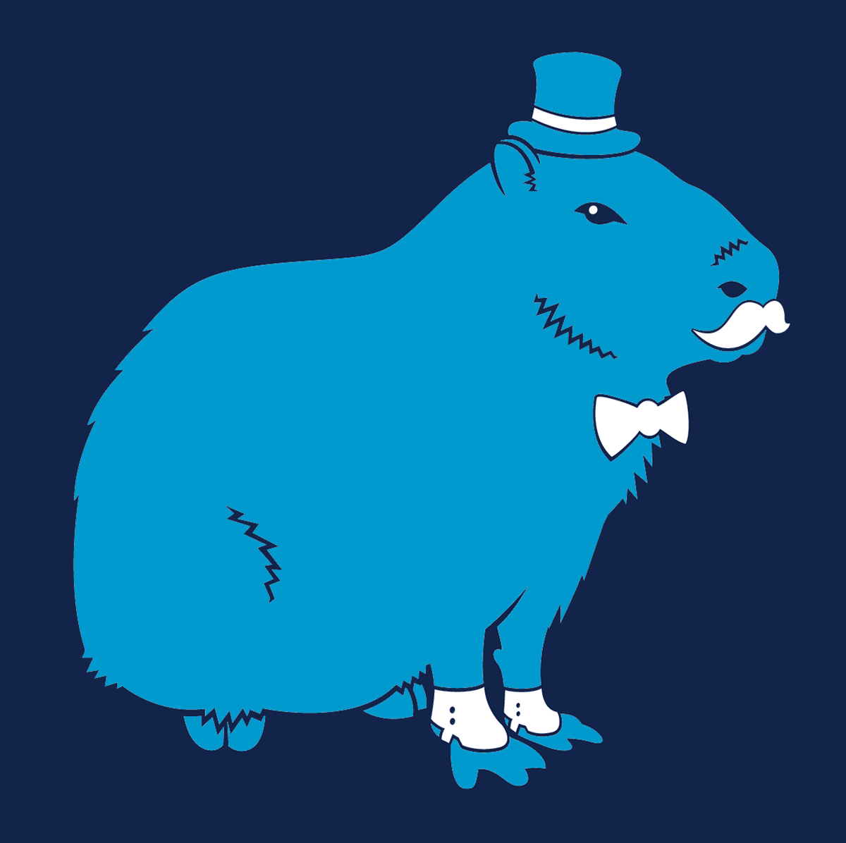 Капибара Birthday