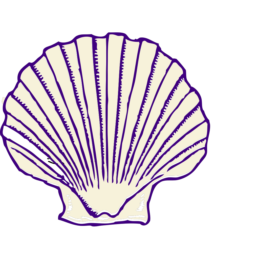 Ракушка рисунок