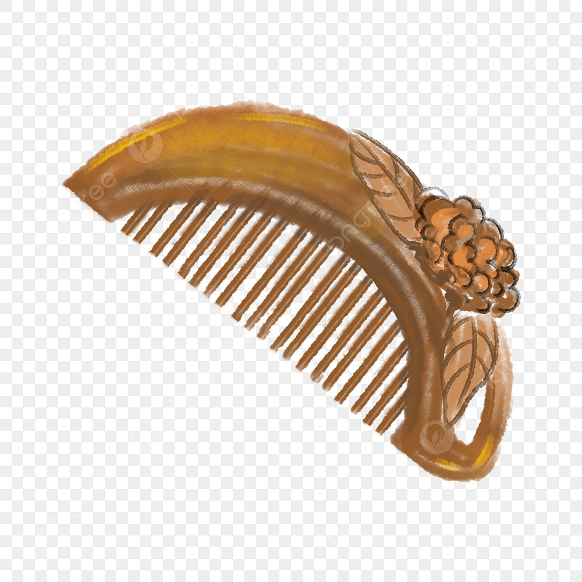 Ракушка сверху