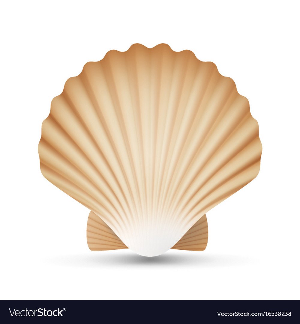 Расческа для детей на прозрачном фоне