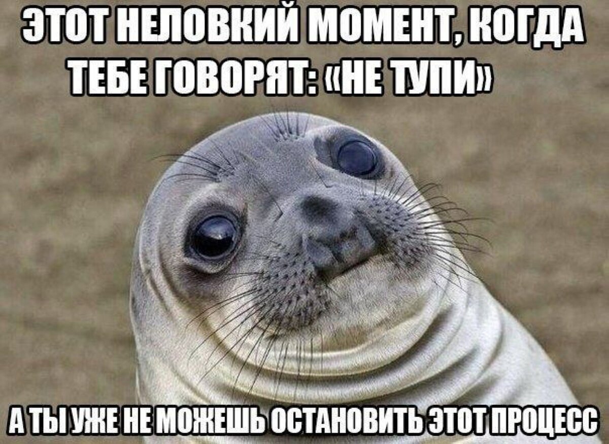 Тюлень с руками Мем