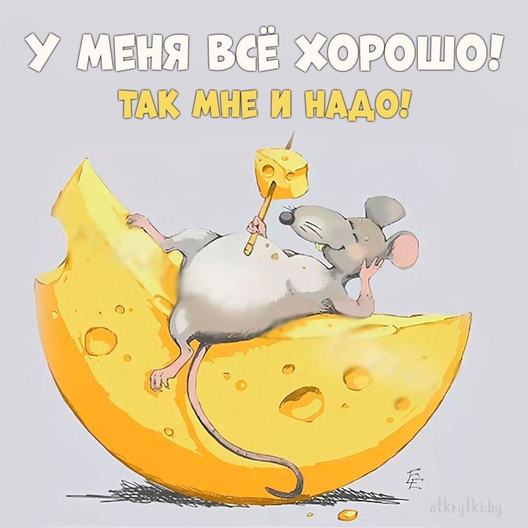 Мышь с куском сыра