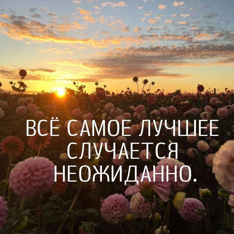 Позитивные открытки