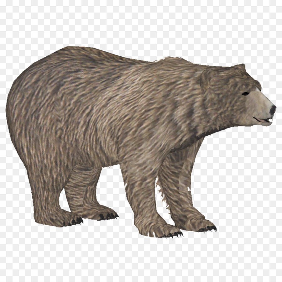 Ursus maritimus Tyrannus
