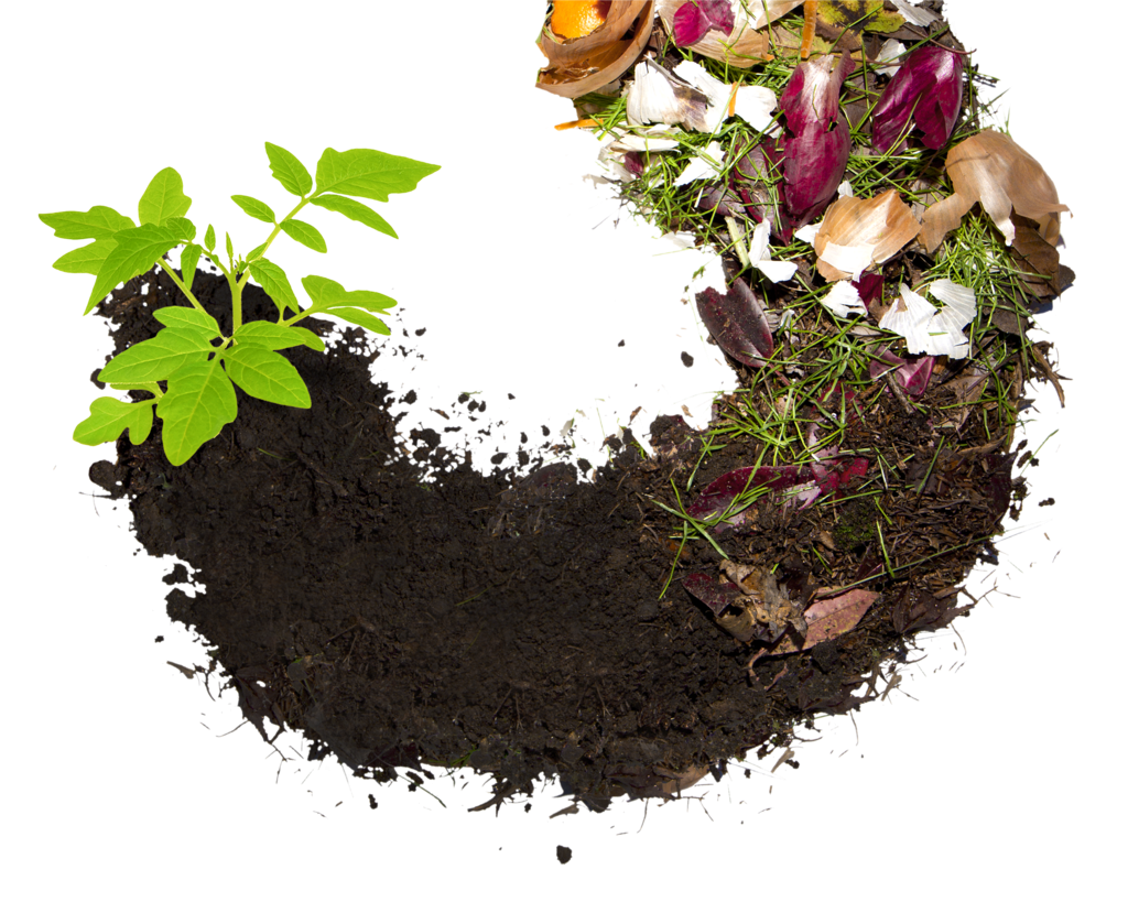 Органические удобрения компост