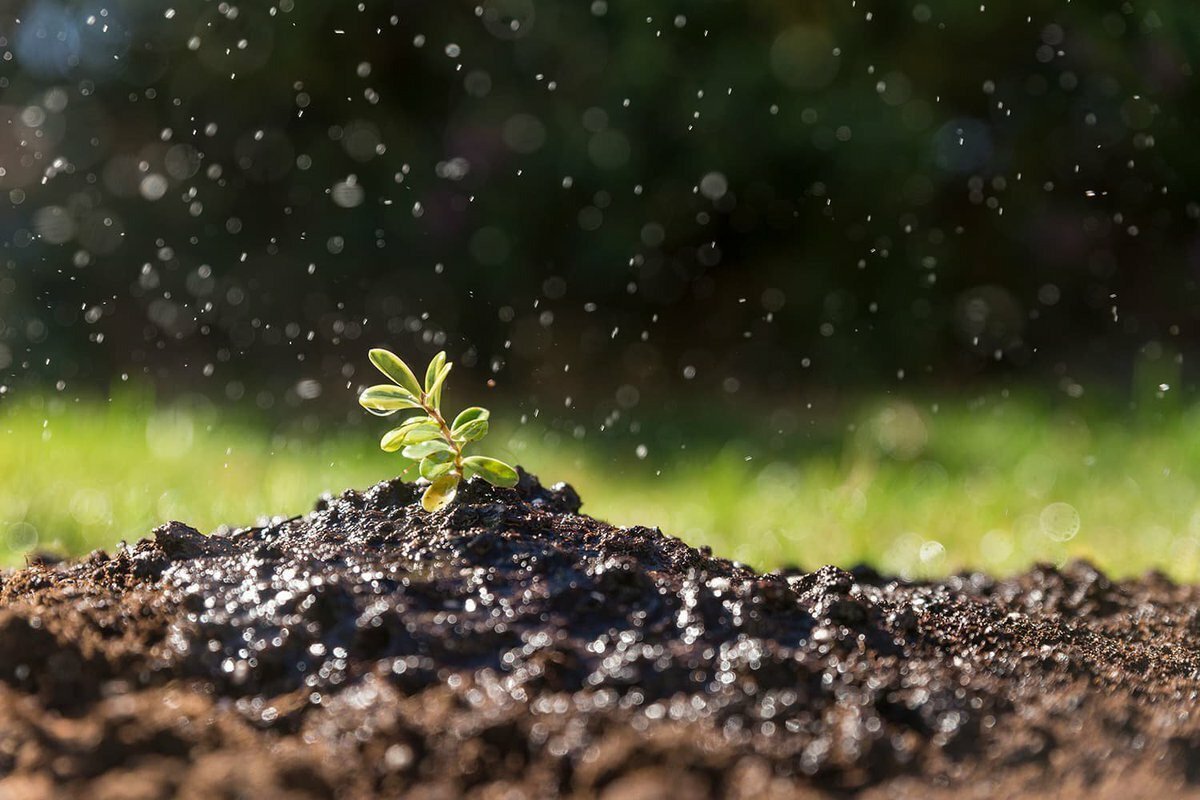 Природа почва