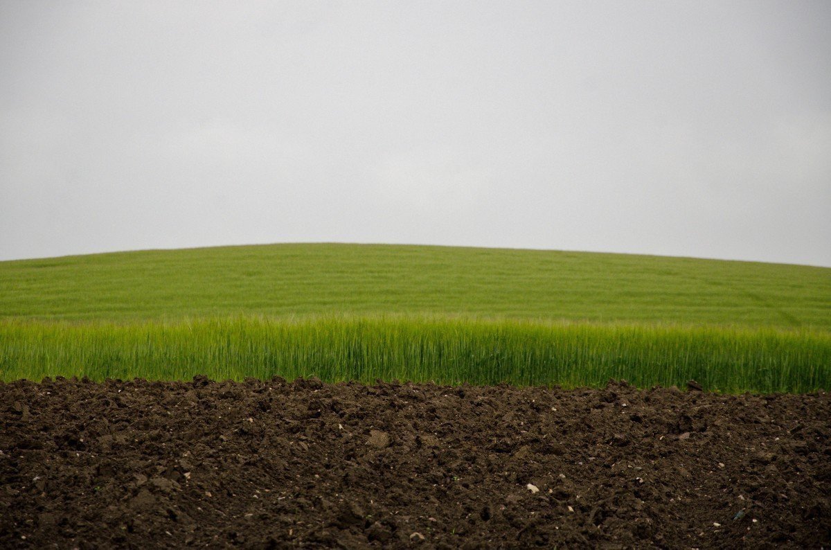 Почва с травой