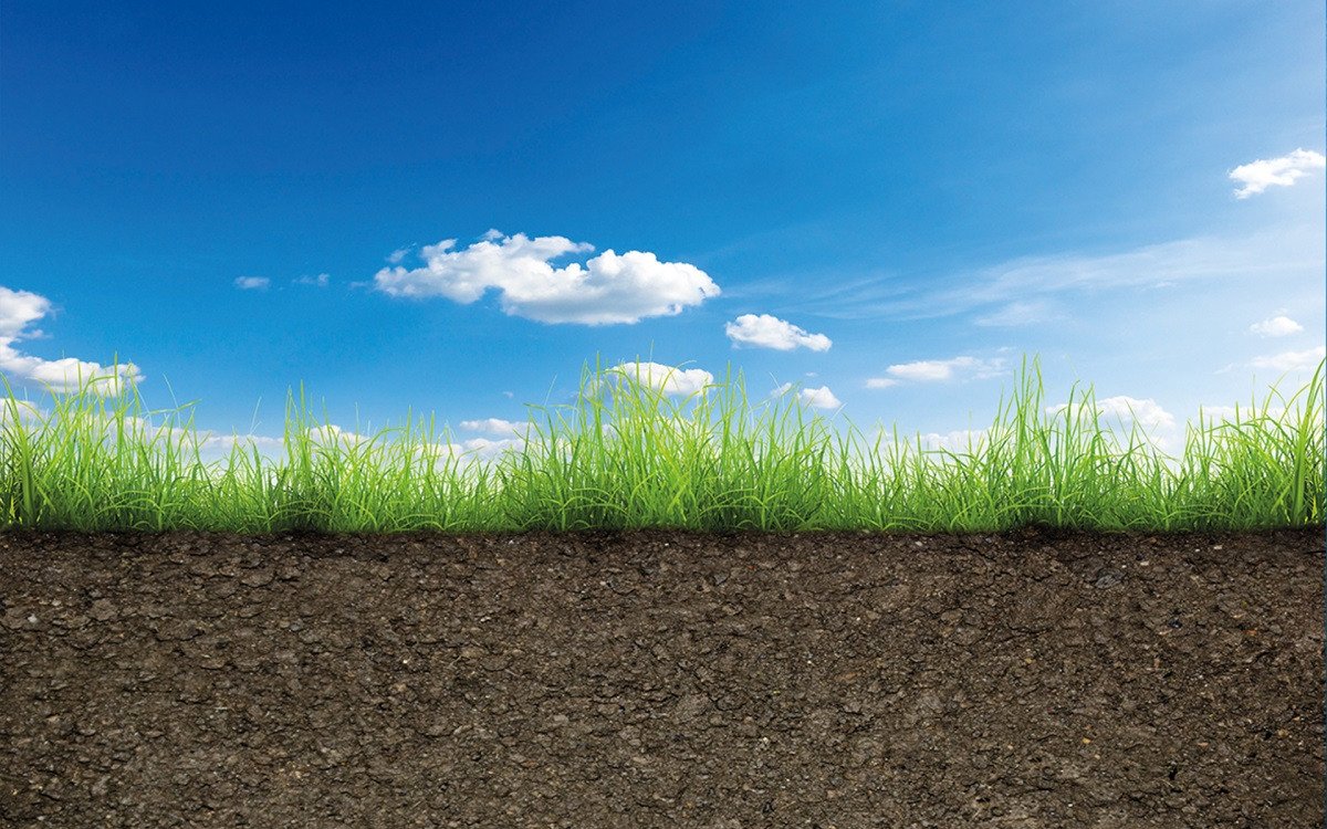 Почва с травой