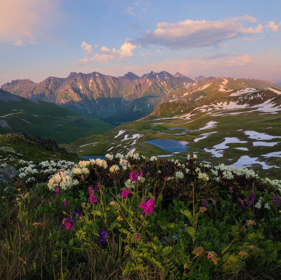 Природа Кавказа