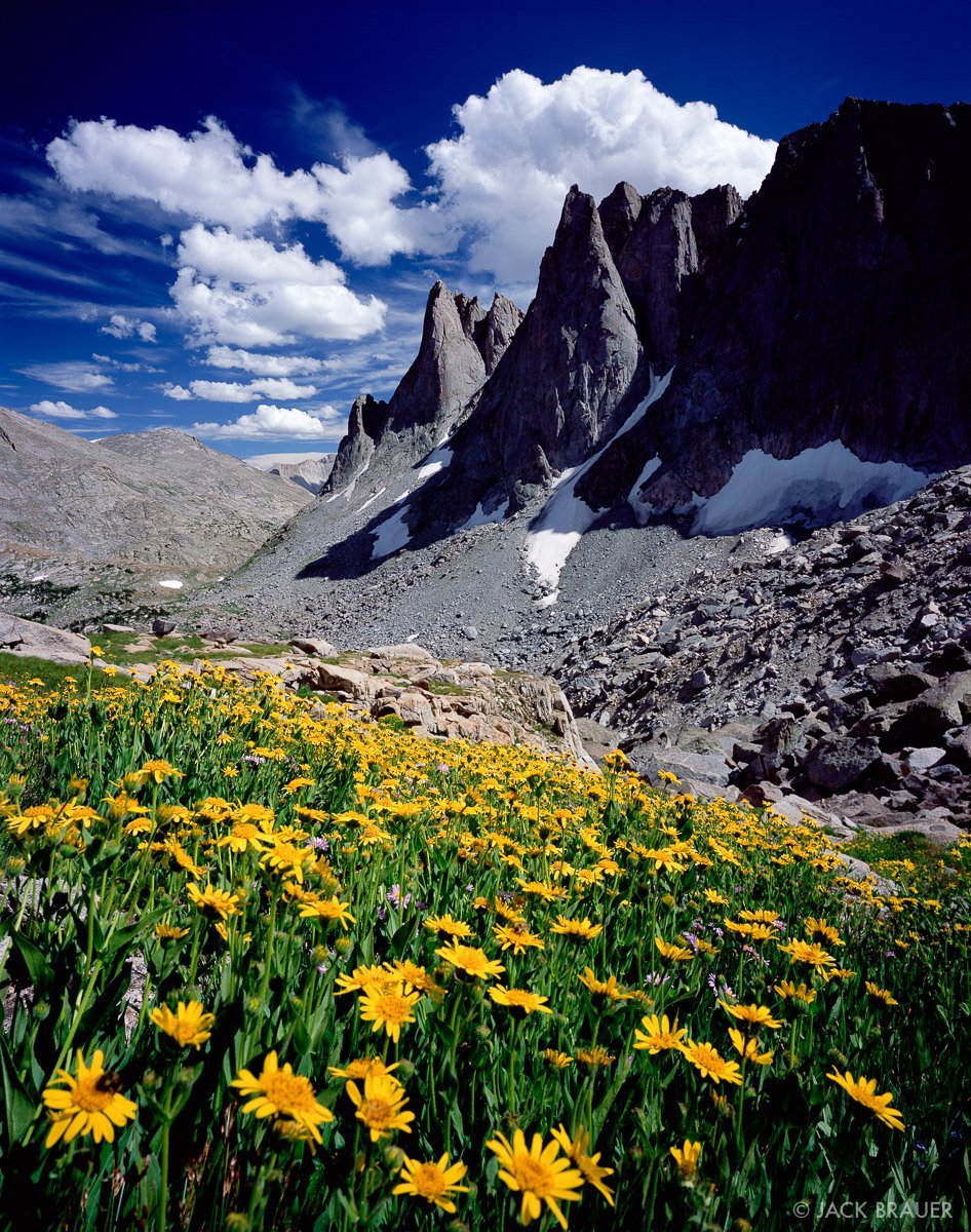 Природа Кавказа