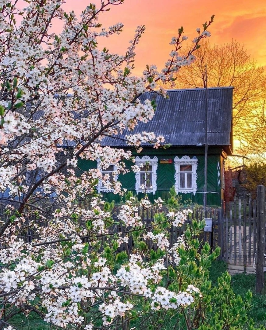 Весна в деревне