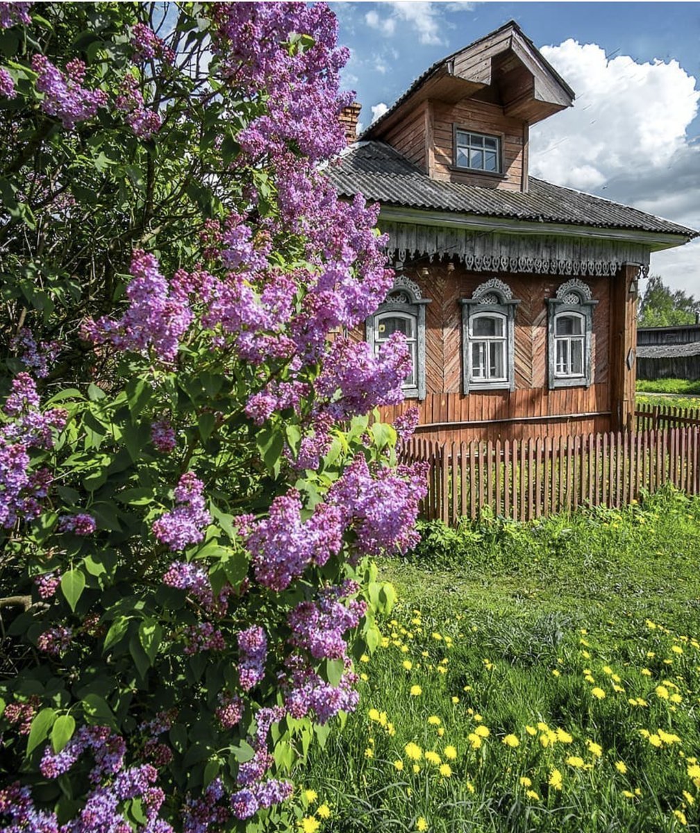 Ранняя Весна в деревне