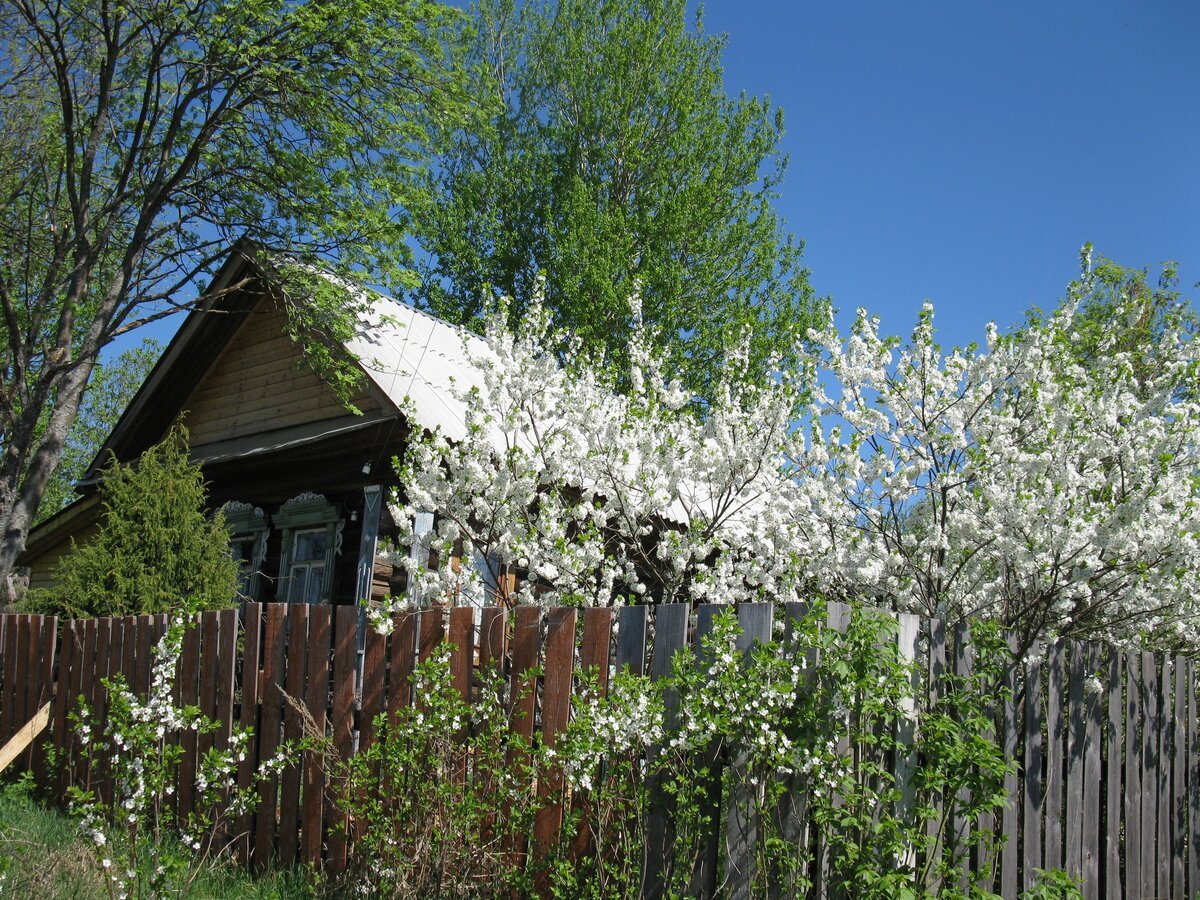 Поздняя осень в деревне