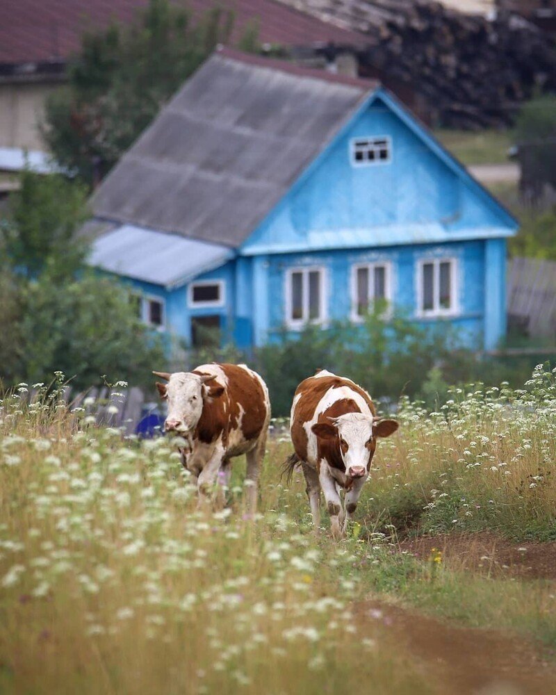 Деревня Кусья Пермский край