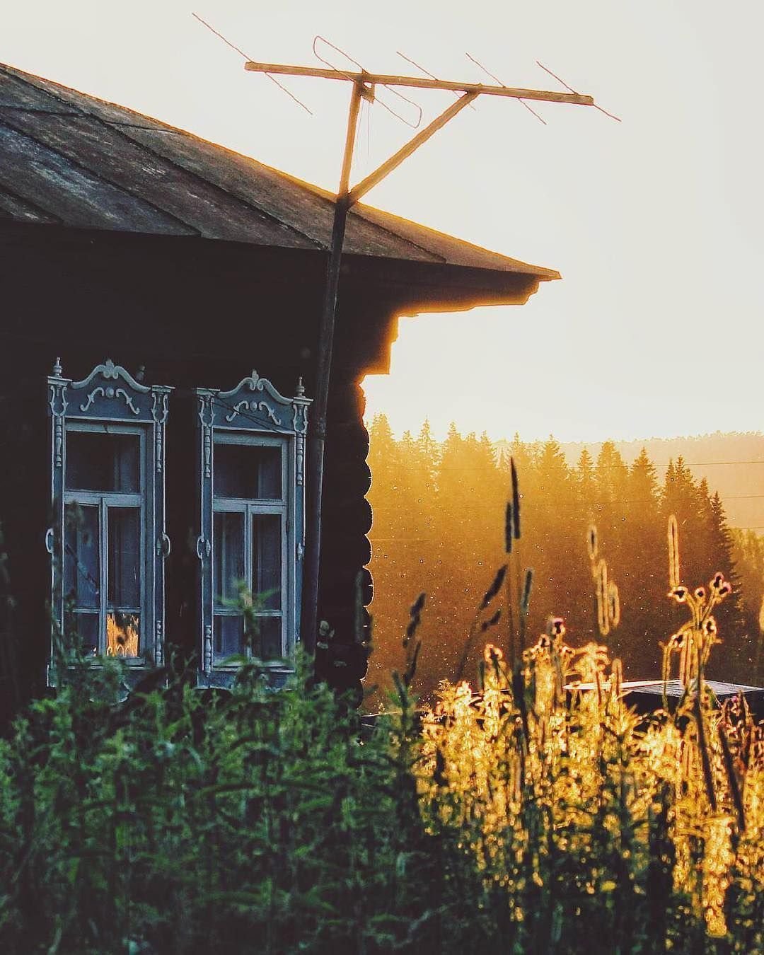 Дмитрий Левин художник картины