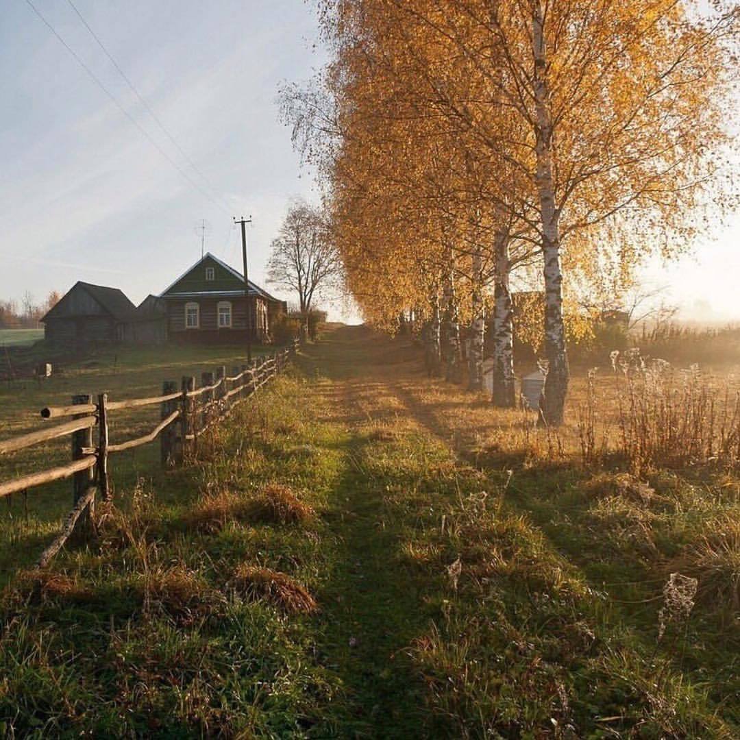 Заброшенный сад в деревне
