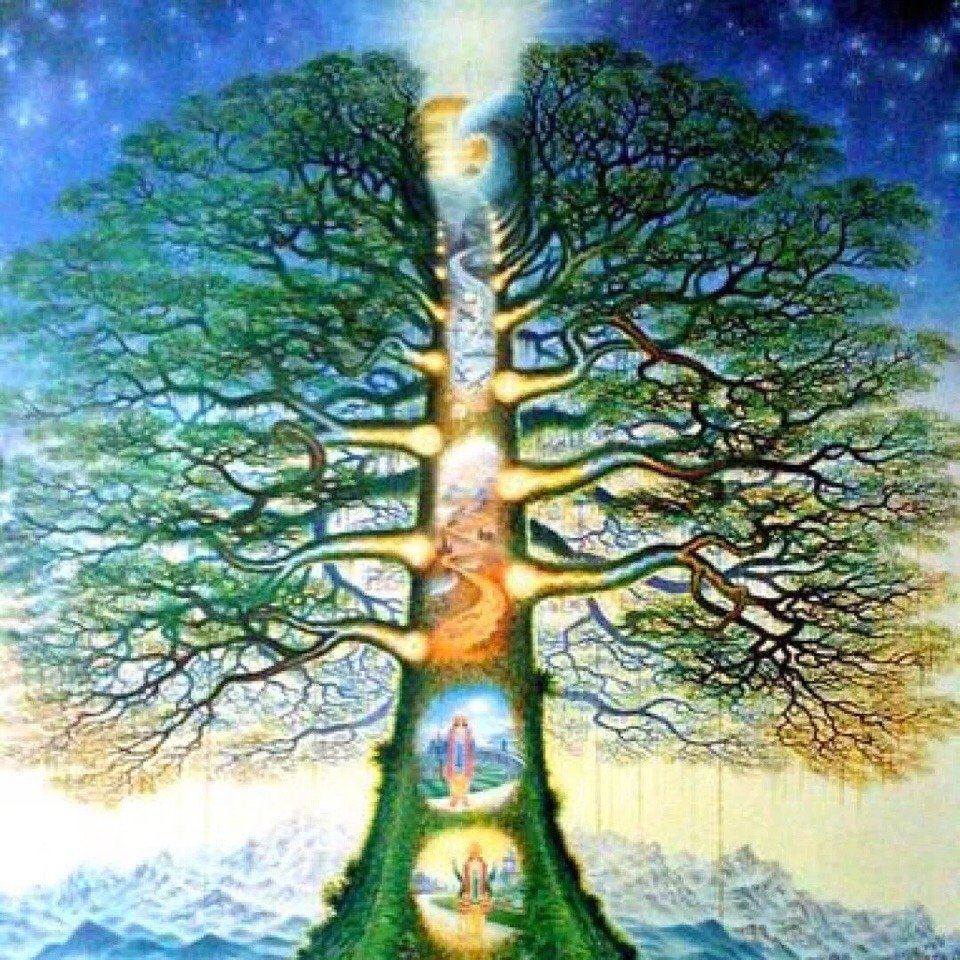 Древо жизни ашваттха