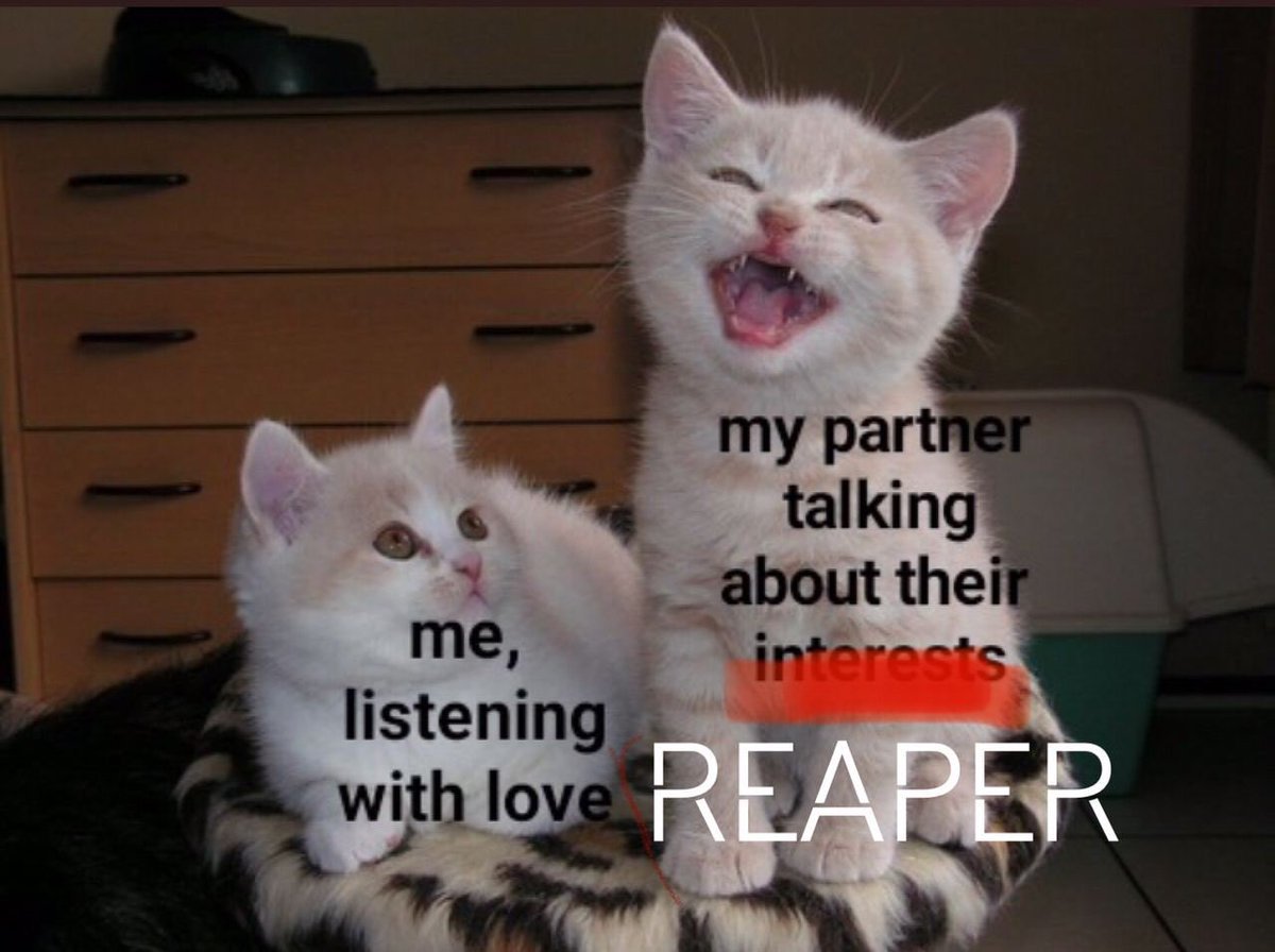 Милые котята до слез