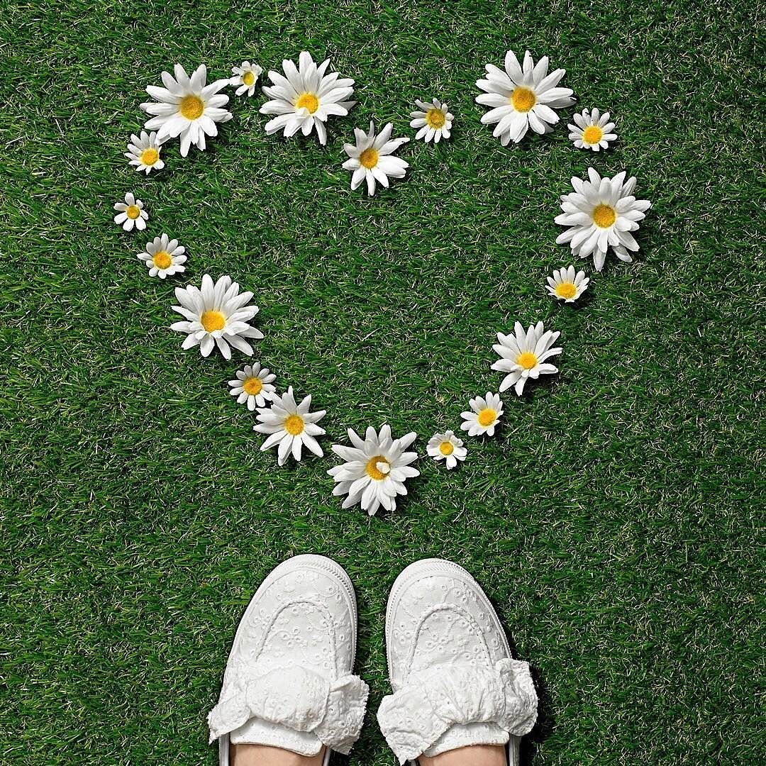 Ромашки фотосессия фотосессия в поле