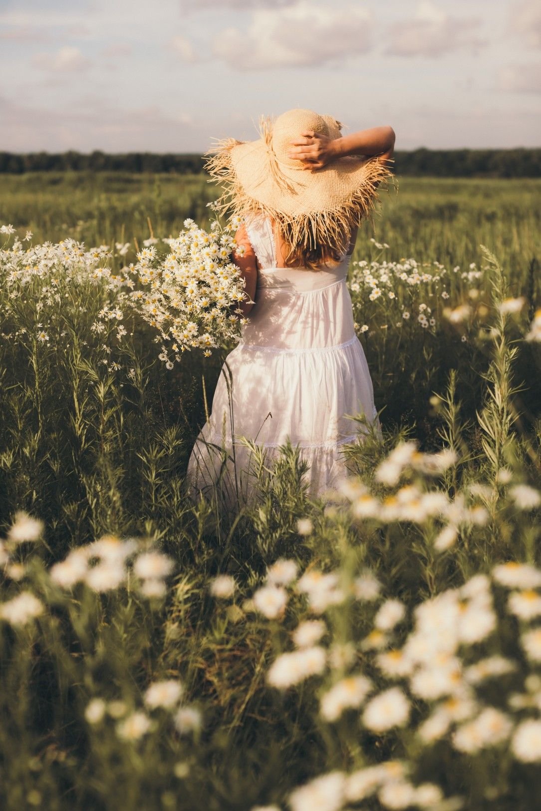 Ромашковые поля Абинский район