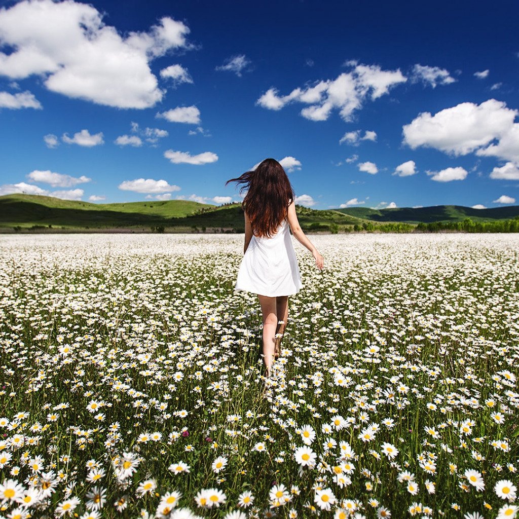 Сказочная Поляна с ромашками