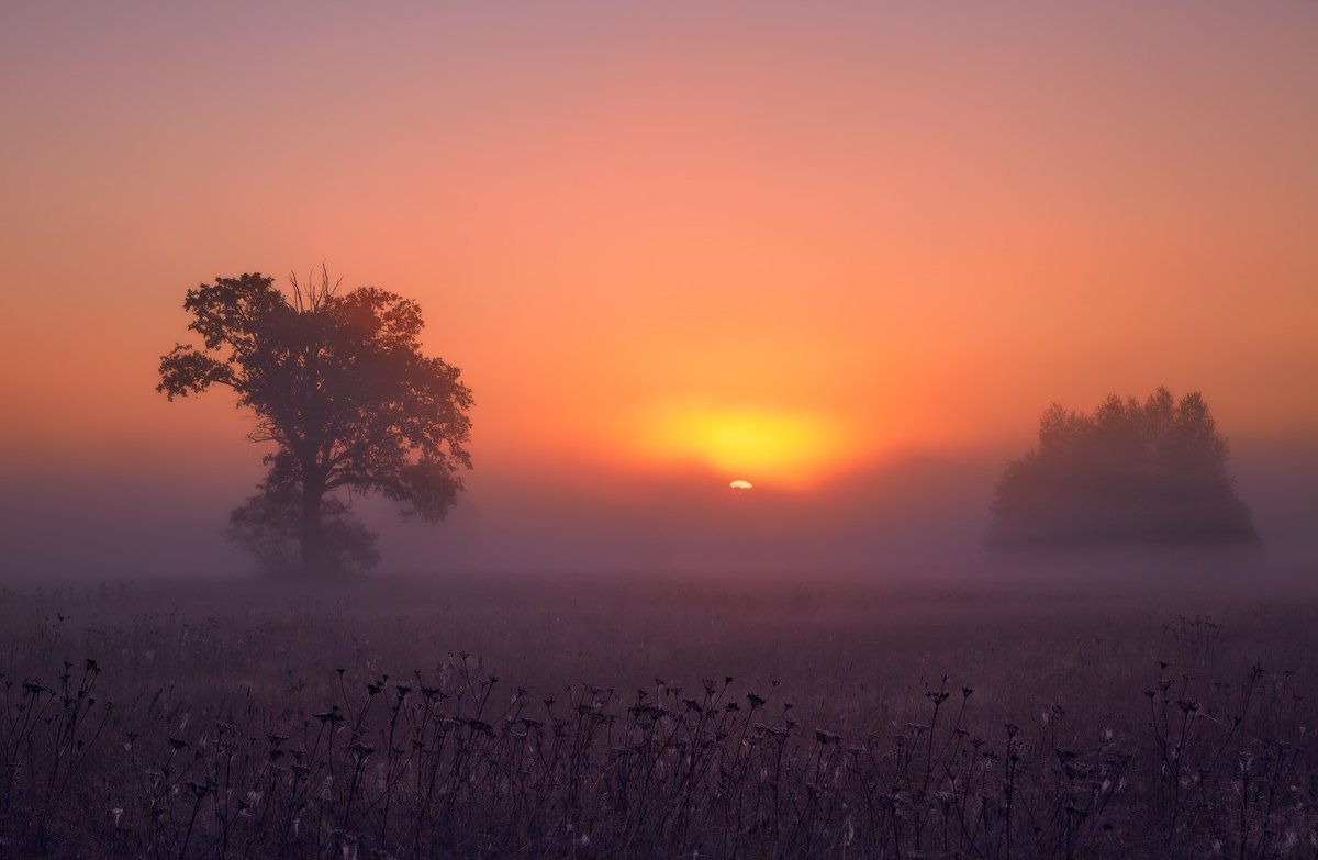 Утренняя и вечерняя Заря