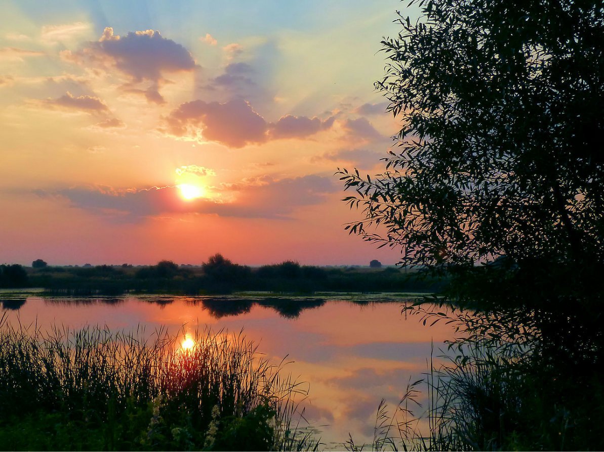 Летний закат