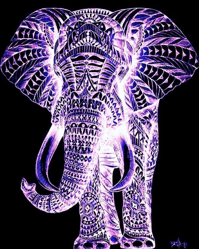 2 Слона без фона